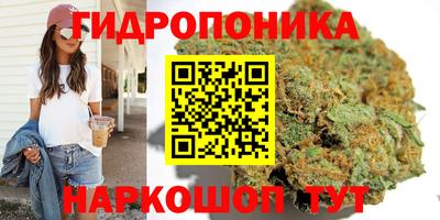 альфа пвп Камышлов