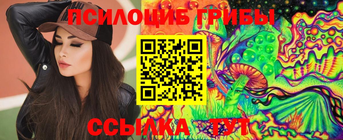 Галлюциногенные грибы мицелий Карачаевск